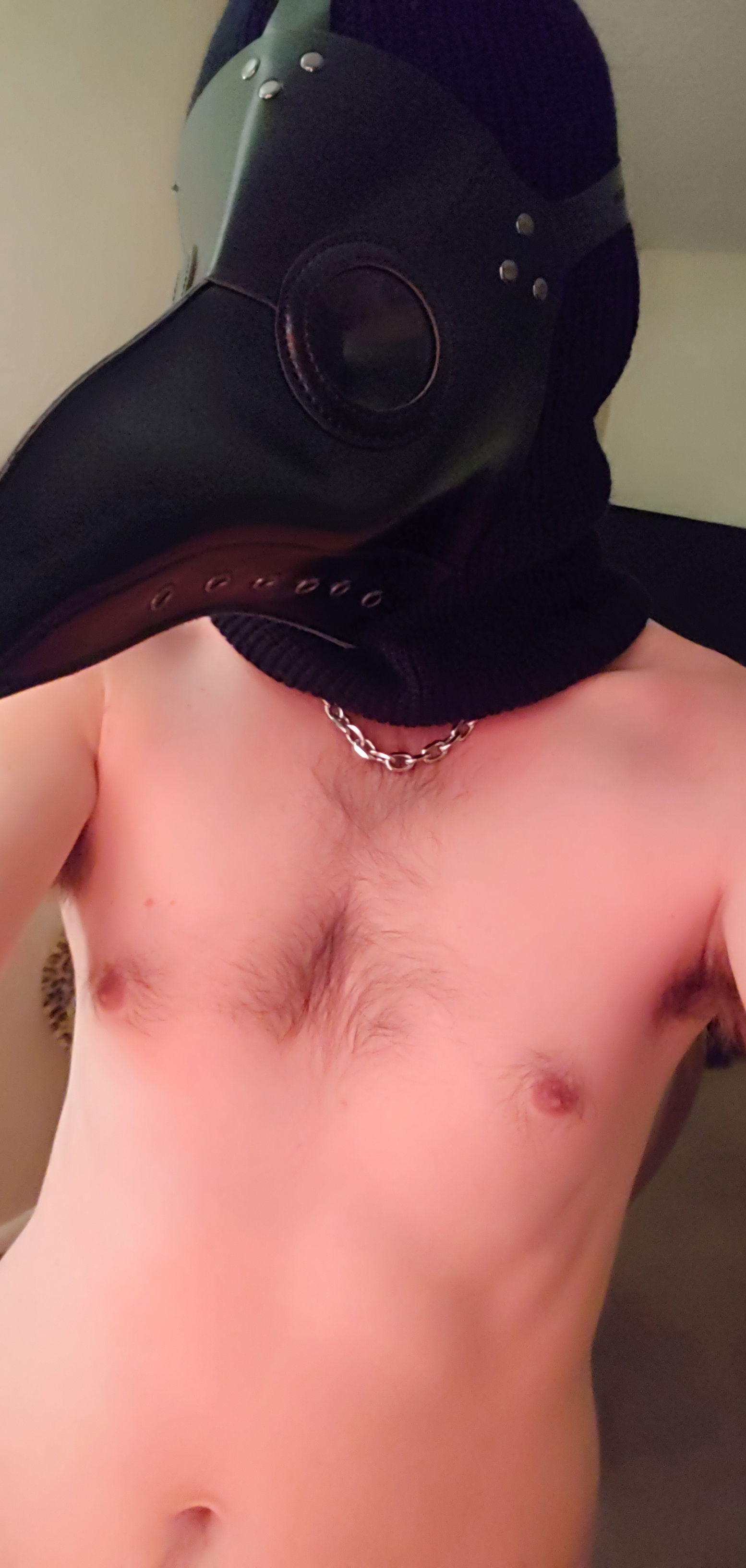 Plaguedaddy-photo