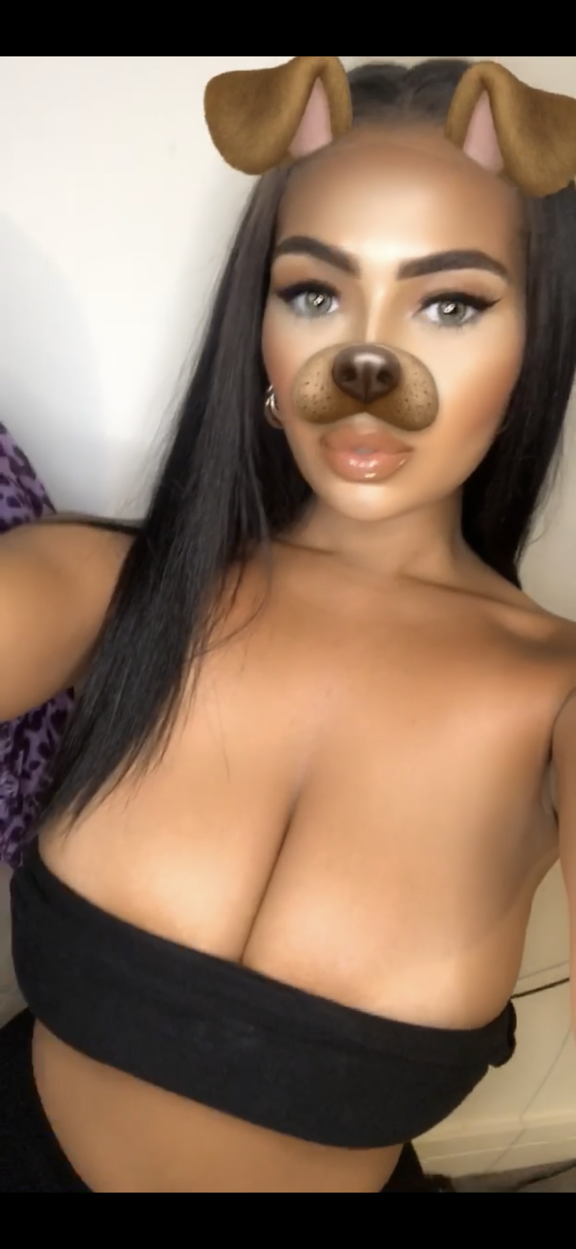 about model image