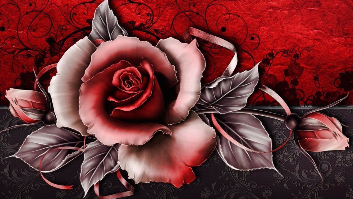 Rose 💋-photo