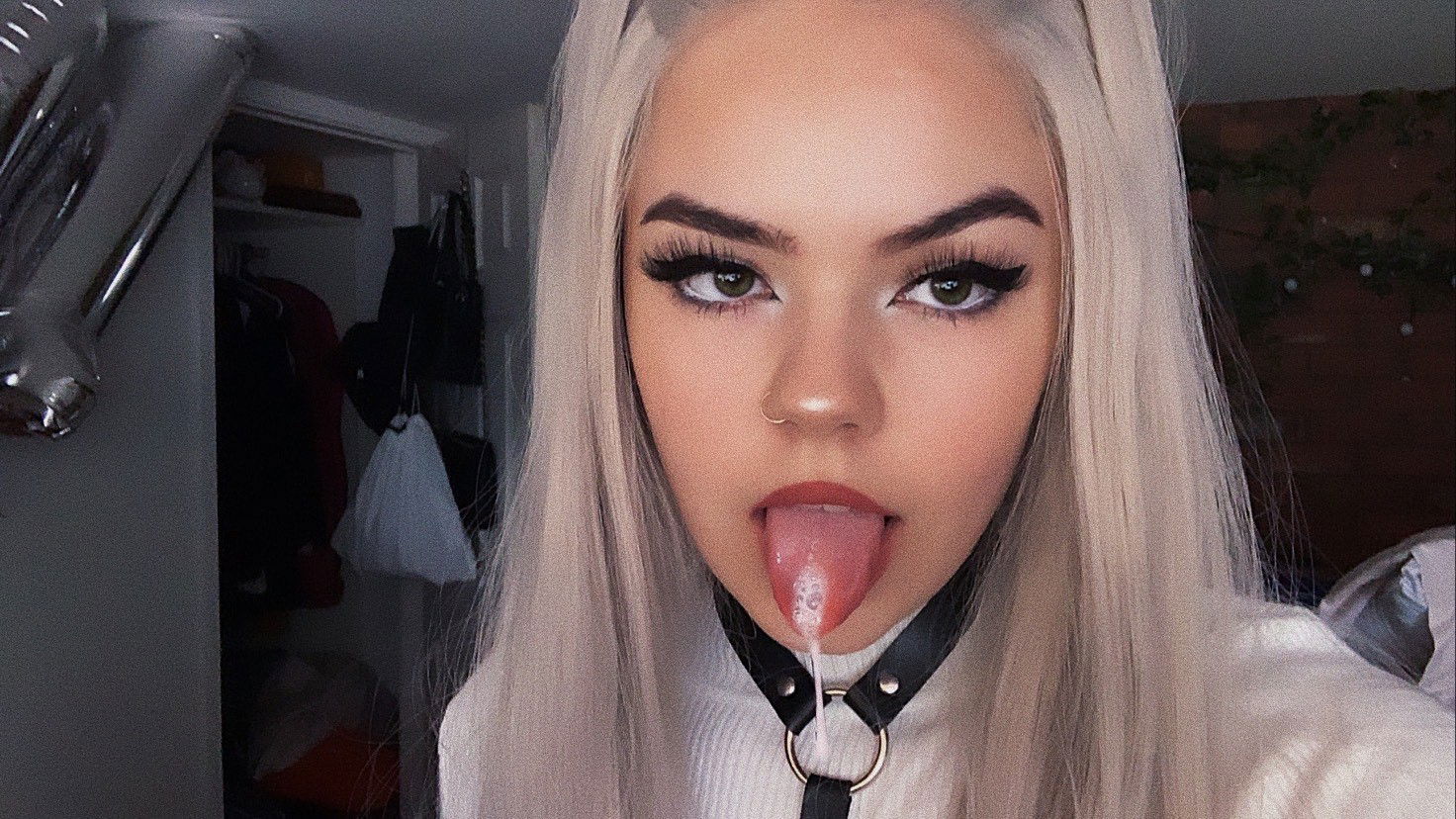 Koda-photo