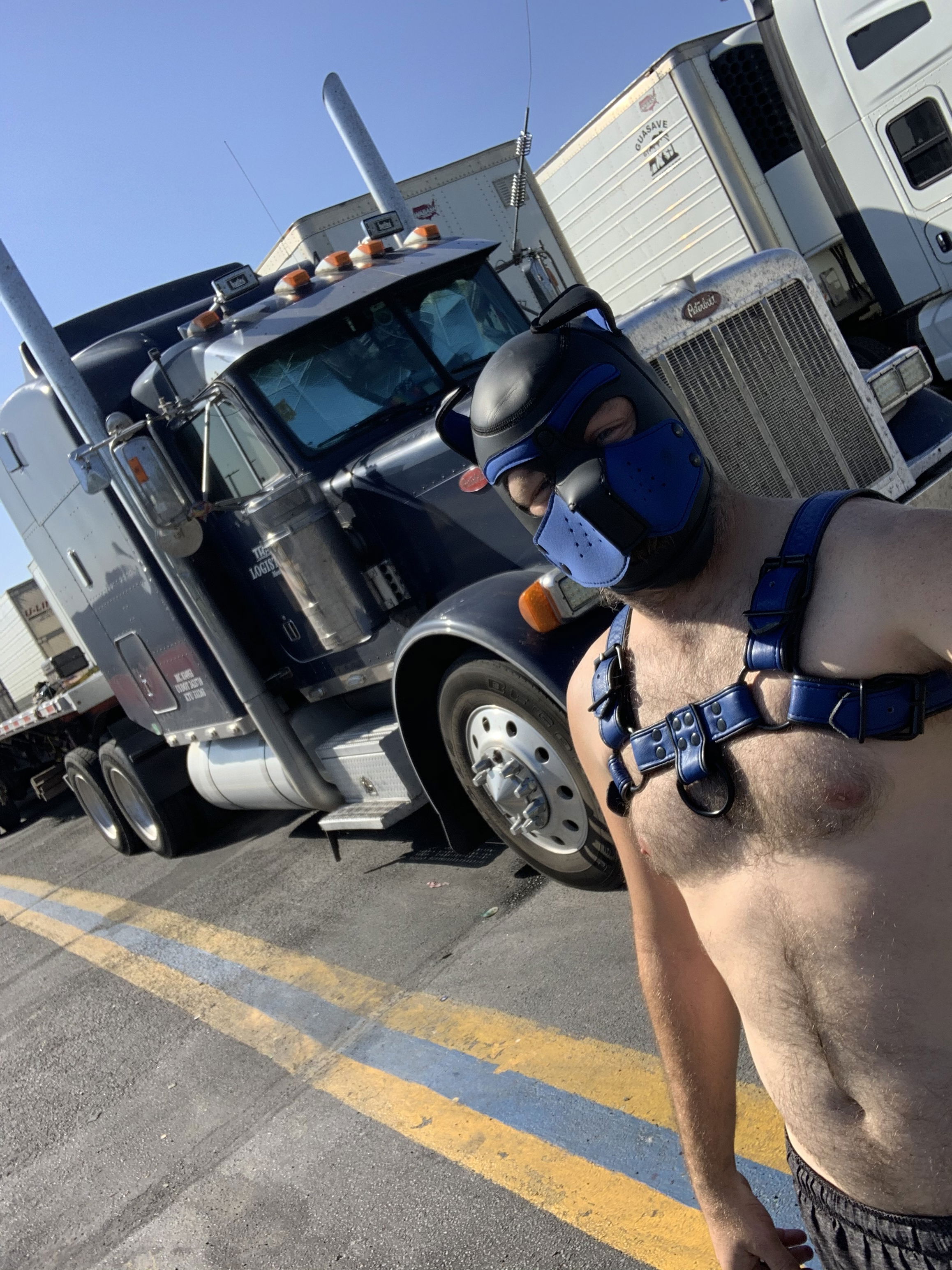 Pup CJ-photo